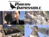 pigeonimpossible_2009_HDTV.mp4