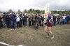 Файл=IMG_7034.jpg
Объём=444KB
Размеры=1280x854
Дата=Июль 05, 2009 IMG_7034.jpg