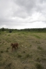 Файл=IMG_7613.jpg
Объём=261KB
Размеры=683x1024
Дата=Июль 05, 2009 IMG_7613.jpg