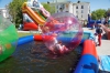 DSC06246.jpg
