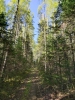 Файл=2021BLINs-04.jpg
Объём=3277KB
Размеры=1440x1920
Дата=Сент 11, 2021 2021BLINs-04.jpg