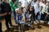 Файл=news-06112024-005.jpg
Объём=668KB
Размеры=1440x960
Дата=Нояб 06, 2024 news-06112024-005.jpg