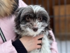 Файл=news-17022024-002.jpg
Объём=799KB
Размеры=2560x1920
Дата=Фев 16, 2024 news-17022024-002.jpg