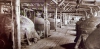 Файл=autoclave1943.jpg
Объём=2113KB
Размеры=2560x1265
Дата=Март 18, 2025 autoclave1943.jpg