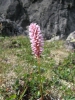 Файл=IMG_5431.JPG
Объём=87KB
Размеры=600x800
Дата=Июль 13, 2010 IMG_5431.JPG