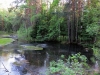 Файл=0491.JPG
Объём=300KB
Размеры=1024x768
Дата=Июнь 16, 2012 0491.JPG