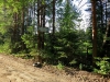 Файл=0493.JPG
Объём=350KB
Размеры=1024x768
Дата=Июнь 16, 2012 0493.JPG