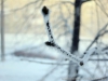 Файл=20150110-02.jpg
Объём=59KB
Размеры=1024x768
Дата=Янв 10, 2015 20150110-02.jpg