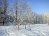 Файл=20150110-12.jpg
Объём=204KB
Размеры=1024x768
Дата=Янв 10, 2015 20150110-12.jpg