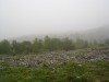 Файл=DSC04523~0.JPG
Объём=554KB
Размеры=1280x960
Дата=Апр 27, 2007 DSC04523~0.JPG