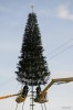 Файл=DSC3723.jpg
Объём=188KB
Размеры=685x1024
Дата=Дек 11, 2007 DSC3723.jpg