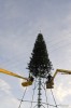 Файл=DSC3727.jpg
Объём=147KB
Размеры=685x1024
Дата=Дек 11, 2007 DSC3727.jpg