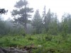 Файл=DSCF2463.JPG
Объём=148KB
Размеры=1024x768
Дата=Июль 07, 2006 DSCF2463.JPG