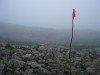 Файл=DSCF2466.JPG
Объём=91KB
Размеры=1024x768
Дата=Июль 07, 2006 DSCF2466.JPG