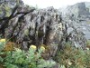 Файл=DSCF2494.JPG
Объём=242KB
Размеры=1024x768
Дата=Июль 07, 2006 DSCF2494.JPG