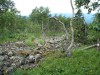 DSCF2534.JPG