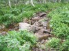Файл=DSCF2535.JPG
Объём=263KB
Размеры=1024x768
Дата=Июль 07, 2006 DSCF2535.JPG
