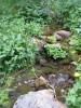 DSCF2536.JPG