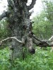 DSCF2537.JPG