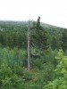 DSCF2542.JPG