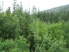 DSCF2544.JPG