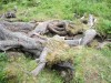 DSCF2547.JPG