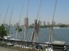 IMG_0994.jpg