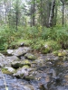 Файл=IMG_1230.JPG
Объём=502KB
Размеры=960x1280
Дата=Сент 08, 2013 IMG_1230.JPG
