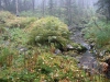 Файл=IMG_1290.JPG
Объём=463KB
Размеры=1280x960
Дата=Сент 08, 2013 IMG_1290.JPG