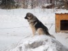 Файл=IMG_2678.jpg
Объём=349KB
Размеры=1024x768
Дата=Дек 24, 2007 IMG_2678.jpg