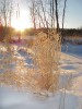 Файл=IMG_2694.jpg
Объём=475KB
Размеры=768x1024
Дата=Дек 24, 2007 IMG_2694.jpg
