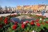 IMG_2991.JPG