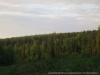 Файл=antip2015_08.jpg
Объём=113KB
Размеры=1280x960
Дата=Июль 03, 2015 antip2015_08.jpg