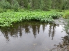 Файл=kriv009.jpg
Объём=658KB
Размеры=1280x960
Дата=Авг 01, 2012 kriv009.jpg