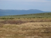 Файл=kvarkush015.jpg
Объём=140KB
Размеры=1024x768
Дата=Июль 05, 2013 kvarkush015.jpg