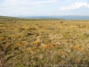 Файл=kvarkush018.jpg
Объём=229KB
Размеры=1024x768
Дата=Июль 05, 2013 kvarkush018.jpg