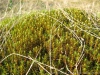 Файл=kvarkush019.jpg
Объём=250KB
Размеры=1024x768
Дата=Июль 05, 2013 kvarkush019.jpg