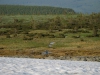 Файл=kvarkush027.jpg
Объём=152KB
Размеры=1024x768
Дата=Июль 05, 2013 kvarkush027.jpg