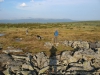 Файл=kvarkush033.jpg
Объём=176KB
Размеры=1024x768
Дата=Июль 05, 2013 kvarkush033.jpg
