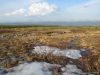 Файл=kvarkush034.jpg
Объём=174KB
Размеры=1024x768
Дата=Июль 05, 2013 kvarkush034.jpg