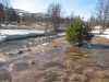 lyampa06.JPG