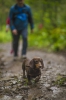 marafon2015_04.jpg