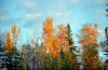 Файл=priroda_03.jpg
Объём=768KB
Размеры=1024x669
Дата=Май 13, 2006 priroda_03.jpg