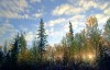 Файл=priroda_06.jpg
Объём=748KB
Размеры=1024x661
Дата=Май 13, 2006 priroda_06.jpg