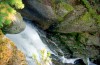 priroda_07.jpg