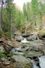 Файл=priroda_09.jpg
Объём=806KB
Размеры=682x1024
Дата=Май 13, 2006 priroda_09.jpg