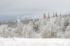Файл=priroda_19.jpg
Объём=426KB
Размеры=1024x683
Дата=Май 13, 2006 priroda_19.jpg