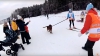 Файл=skidogs2018.jpg
Объём=522KB
Размеры=1920x1080
Дата=Янв 05, 2018 skidogs2018.jpg