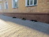 ugidva027.jpg