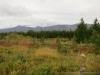 Файл=ugidva052.jpg
Объём=405KB
Размеры=1024x768
Дата=Сент 04, 2012 ugidva052.jpg